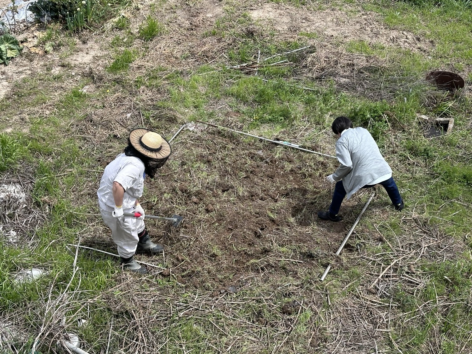 屋外での畑作業
